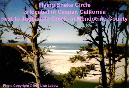 Flying Snake Circle